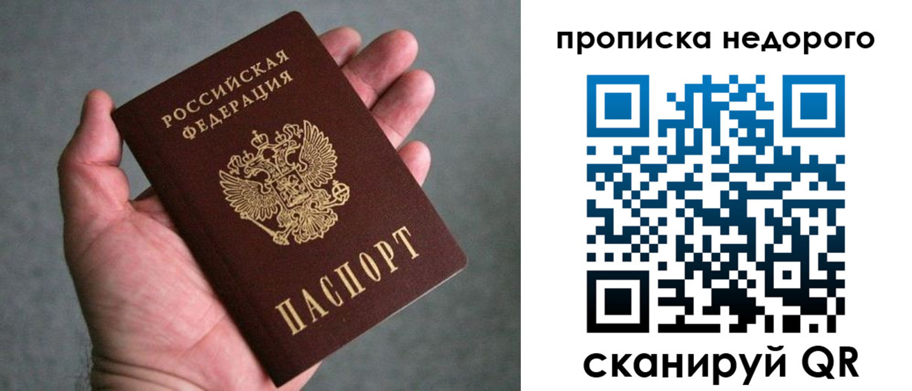прописка поиск в Новотроицке